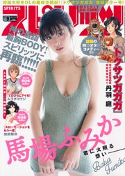 [Weekly Big Comic Spirits] ふ み か Фотожурнал № 09 за 2017 г.