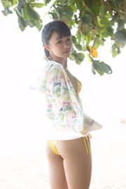 [RQ-STAR] NO.00394 Ayami Ayami Swim Suits