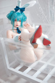 [Net Red COER Photo] Crazy Cat ss - Miku Hatsune Bunny Girl